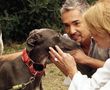César Millán mirando a un galgo 