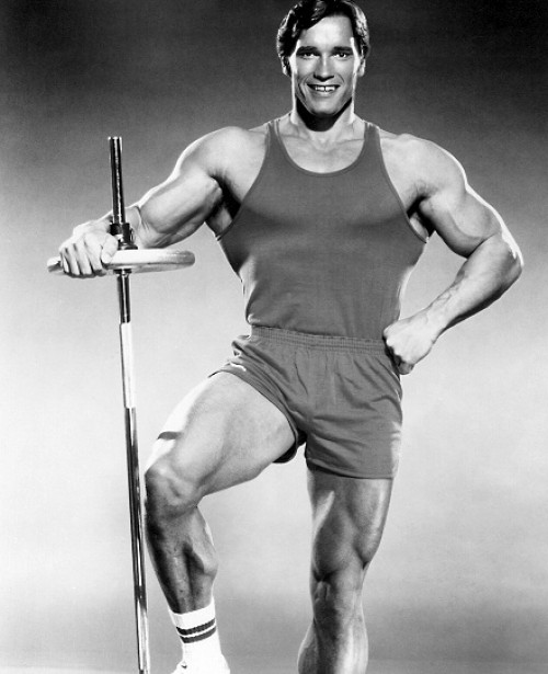 Arnold Schwarzenegger - Arnold Schwarzenegger encargó una serie de estatuas de sí mismo Arnold Schwarzenegger - Arnold Schwarzenegger encargó una serie de estatuas de sí mismo